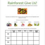 Rainforests (With Climate Graph)