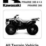 Mercury 25 30 EFI and 25 Jet EFI Outboard 4 Stroke Service Manual