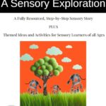 Airports and Airplanes Sensory Story and Teaching Pack for Sensory Learners of all Ages
