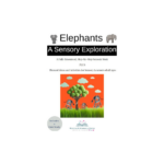 Airports and Airplanes Sensory Story and Sensory Rich Activities Multiple Disabilities