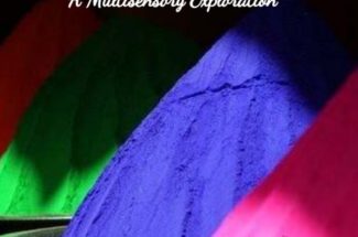 Minibeasts Sensory Story Plus Themed Teaching Ideas and Activities