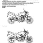 2014 WildCat, WildCat X, WildCat 4X Service Repair Manual