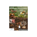 Holi Sensory Story and Sensory Rich Activities Multiple Disabilities