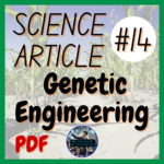 The Carbon Cycle Science Article #15 | Biology Reading / Literacy