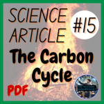 Mitosis & Meiosis Science Article #16 | Biology Reading / Literacy