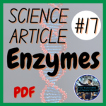 Mitosis & Meiosis Science Article #16 | Biology Reading / Literacy