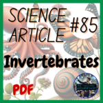 The Science of Love | Science Article #86 | Holiday / Seasonal Reading / Literacy