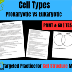 Macromolecules Worksheets & Google Forms Test l Biology l Test Prep