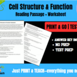 Biology Bundle: Living vs Nonliving, Cell Theory & Viruses Worksheets
