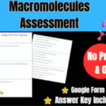 Cell Structure & Function Worksheet | Organelles Reading Passage + Quiz