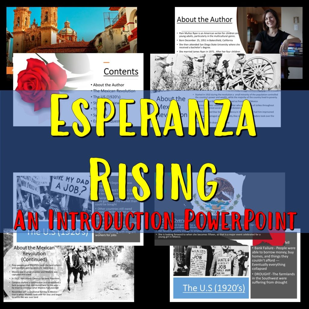 esperanza rising theme essay