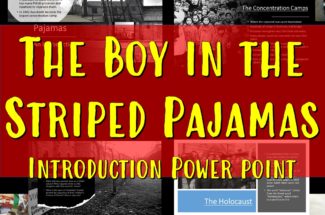 The Boy in the Striped Pajamas Study Guide Flip book