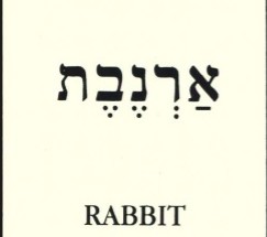 Basic Hebrew words