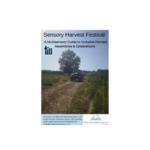 Sensory Saints A Sensory Journey Through Seven Sacred Days Sensory Story and Sensory Rich Activities Multiple Disabilities