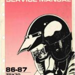 Honda X ADV 750 2021 Workshop manual