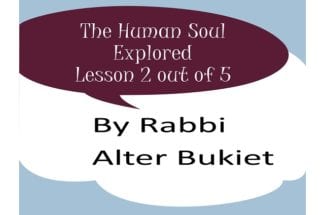 Human Soul Explored – Lesson 3