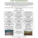 Human Impacts On The Rainforest