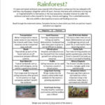 Rainforests – Nutrients And Water Cycle
